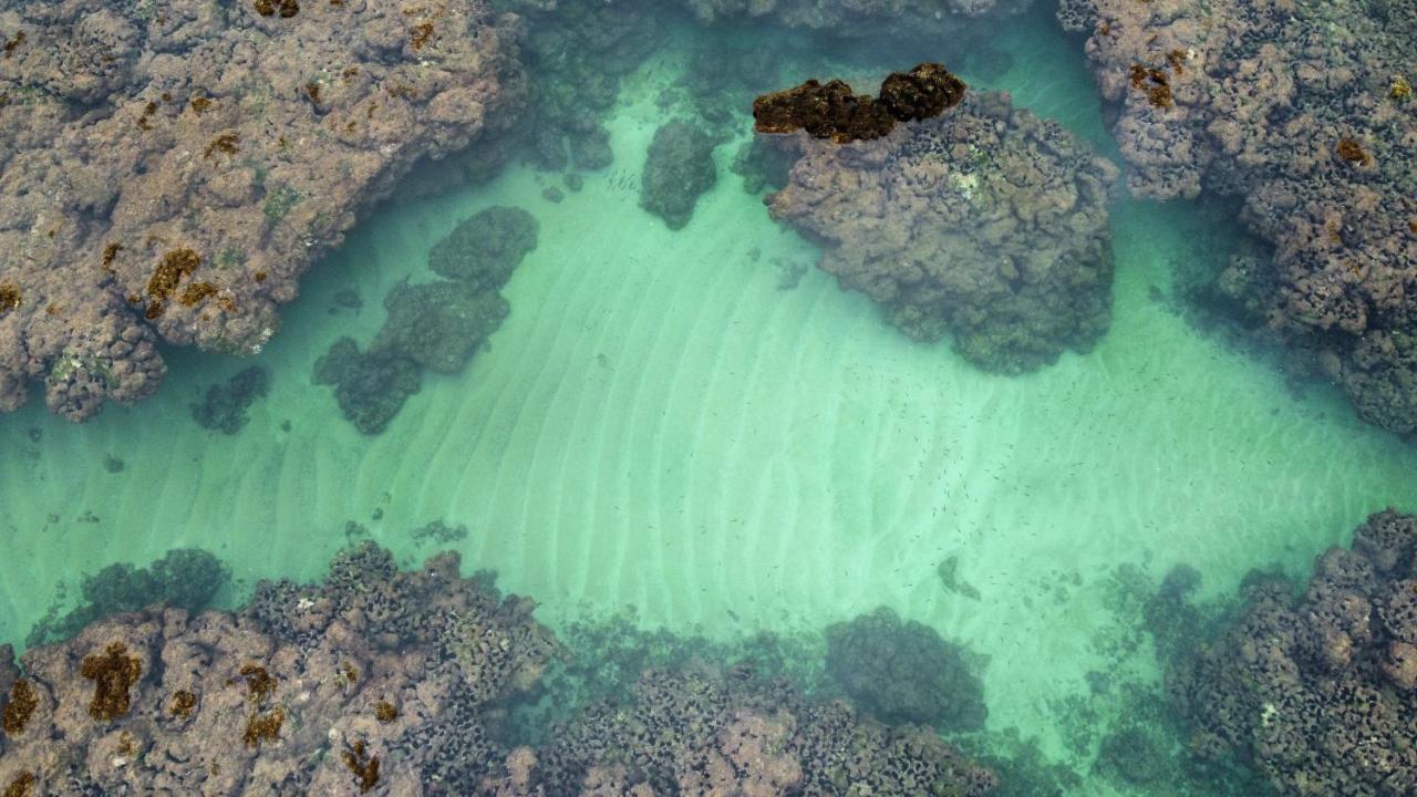 Cabana Fluir - Taipu De Fora - Peninsula De Marau Barra Grande  Exteriér fotografie